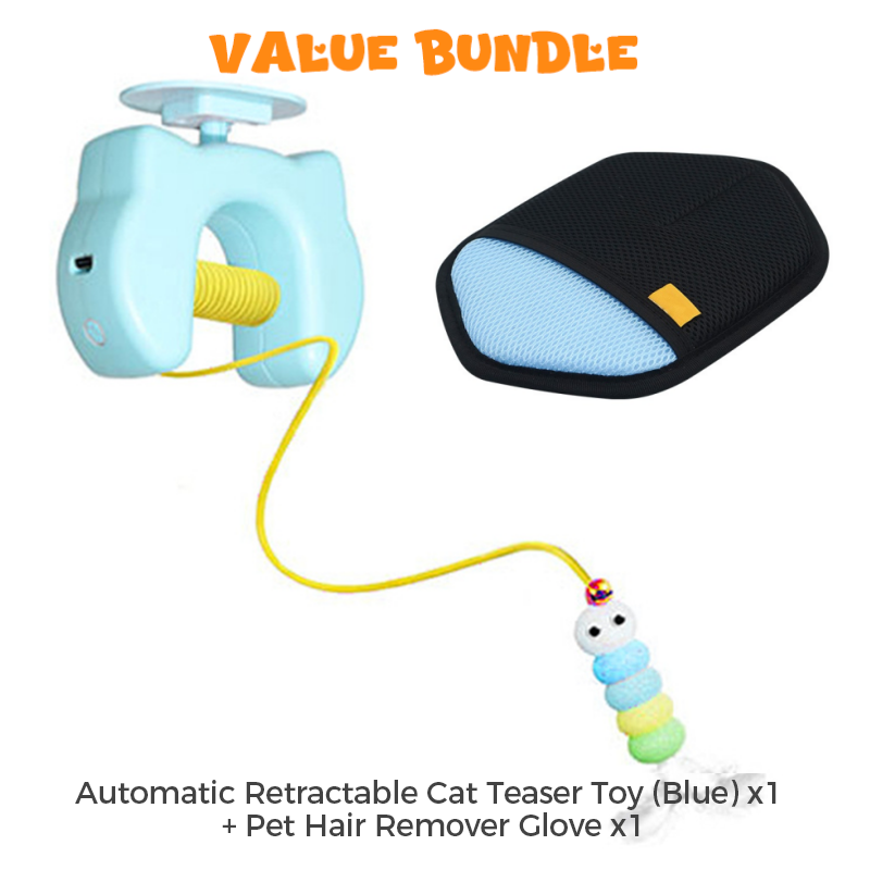 Automatic Retractable Cat Toy with Irregular Motion