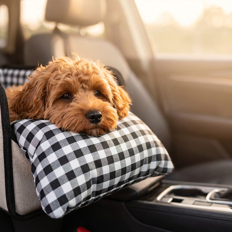 Console Dog Car Seat with Safety Tether
